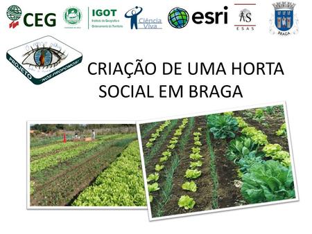 CRIAÇÃO DE UMA HORTA SOCIAL EM BRAGA.  O município de Braga cresceu imenso nos últimos anos. Um crescimento ímpar a nível nacional e uma aposta clara.