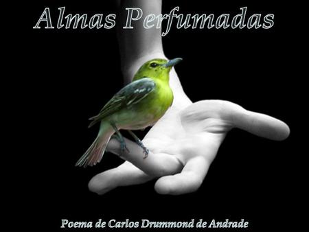 Poema de Carlos Drummond de Andrade