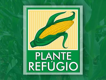 Programa “Plante Refugio”