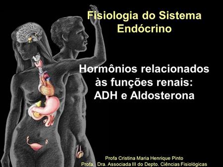Fisiologia do Sistema Endócrino