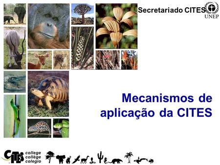 1 Mecanismos de aplicação da CITES Secretariado CITES.