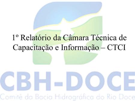 1º Relatório da Câmara Técnica de Capacitação e Informação – CTCI.