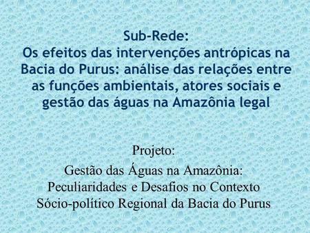 Sub-Rede: Os efeitos das intervenções antrópicas na Bacia do Purus: análise das relações entre as funções ambientais, atores sociais e gestão das águas.