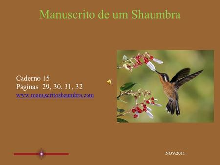 Manuscrito de um Shaumbra Caderno 15 Páginas 29, 30, 31, 32 www.manuscritoshaumbra.com NOV/2011.