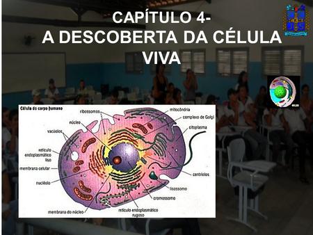 CAPÍTULO 4- A DESCOBERTA DA CÉLULA VIVA
