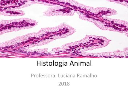 Professora: Luciana Ramalho 2018