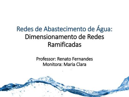 Redes de Abastecimento de Água: Dimensionamento de Redes Ramificadas Professor: Renato Fernandes Monitora: Maria Clara.