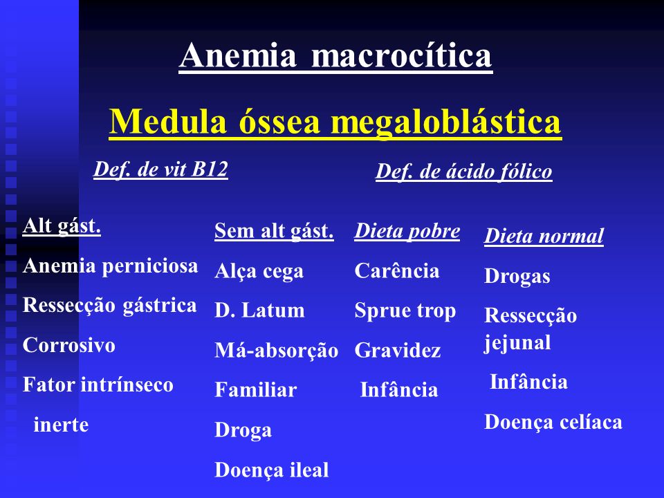 Medula óssea megaloblástica