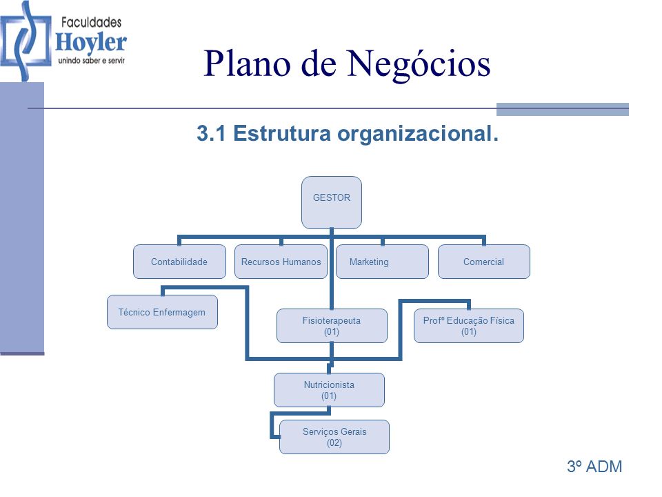 3.1 Estrutura organizacional.