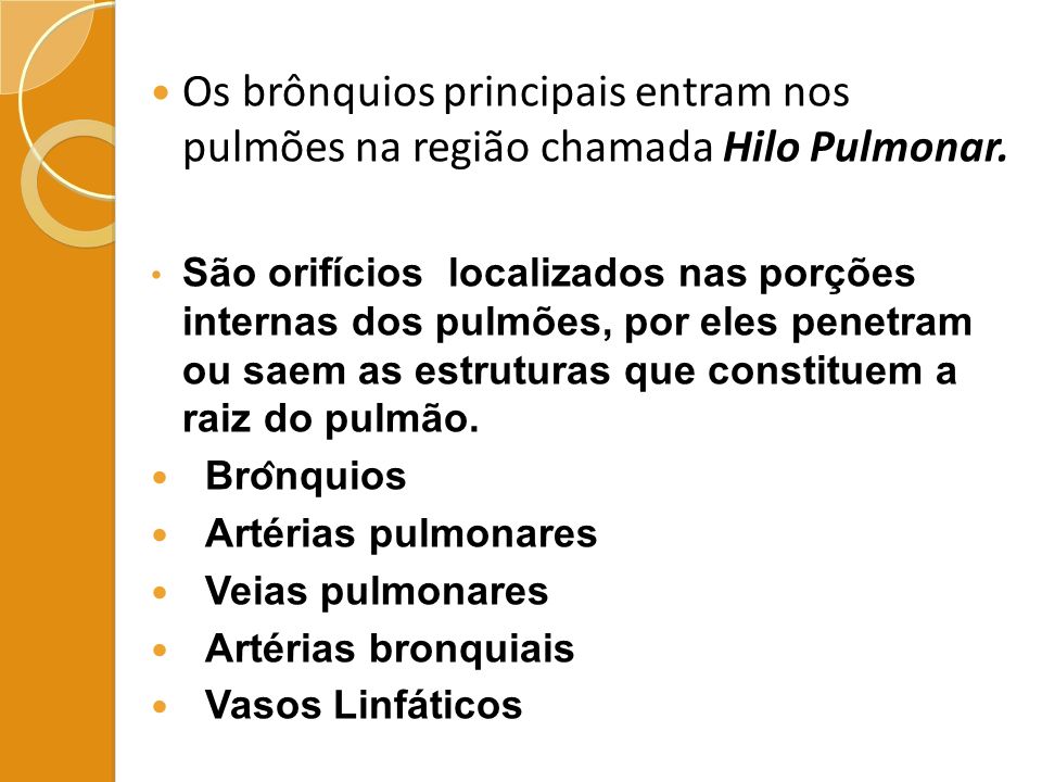 Os brônquios principais entram nos pulmões na região chamada Hilo Pulmonar.