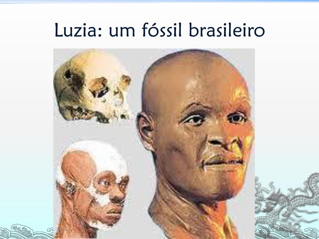 Luzia: um fóssil brasileiro