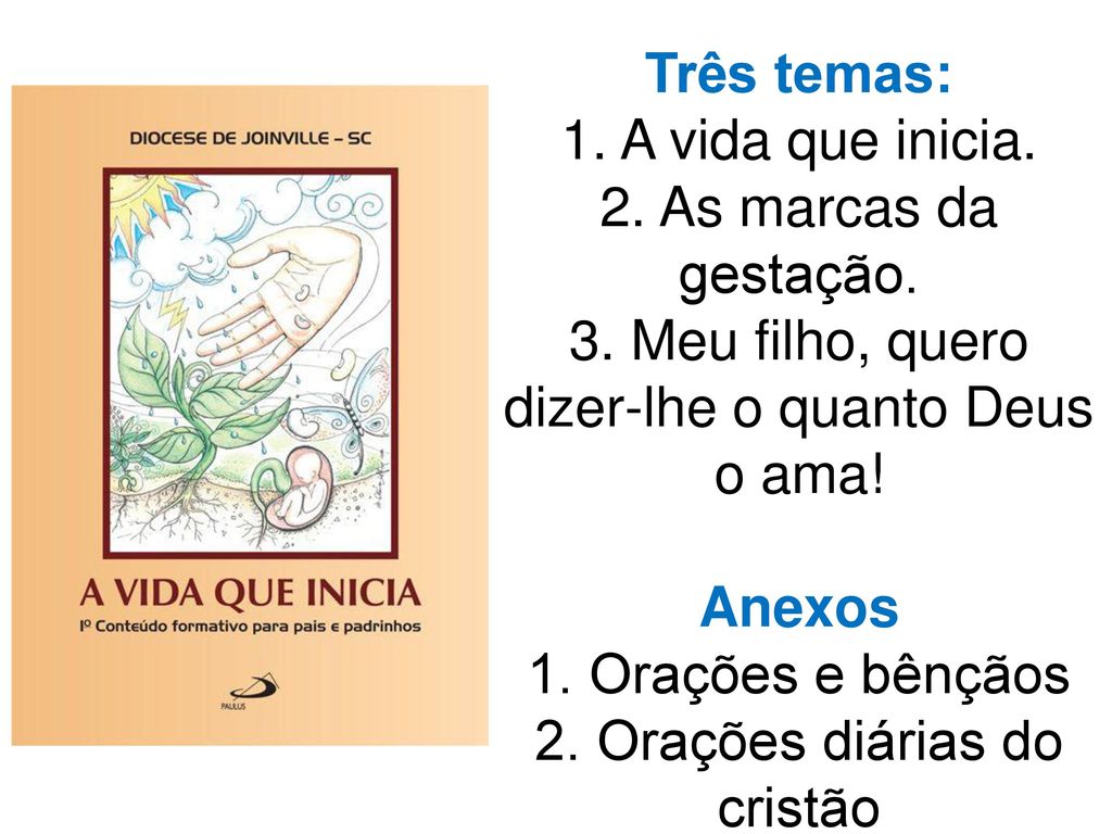 Três temas: 1. A vida que inicia. 2. As marcas da gestação. 3