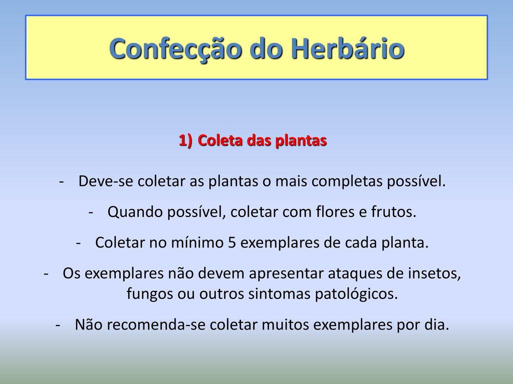 Confecção do Herbário Coleta das plantas