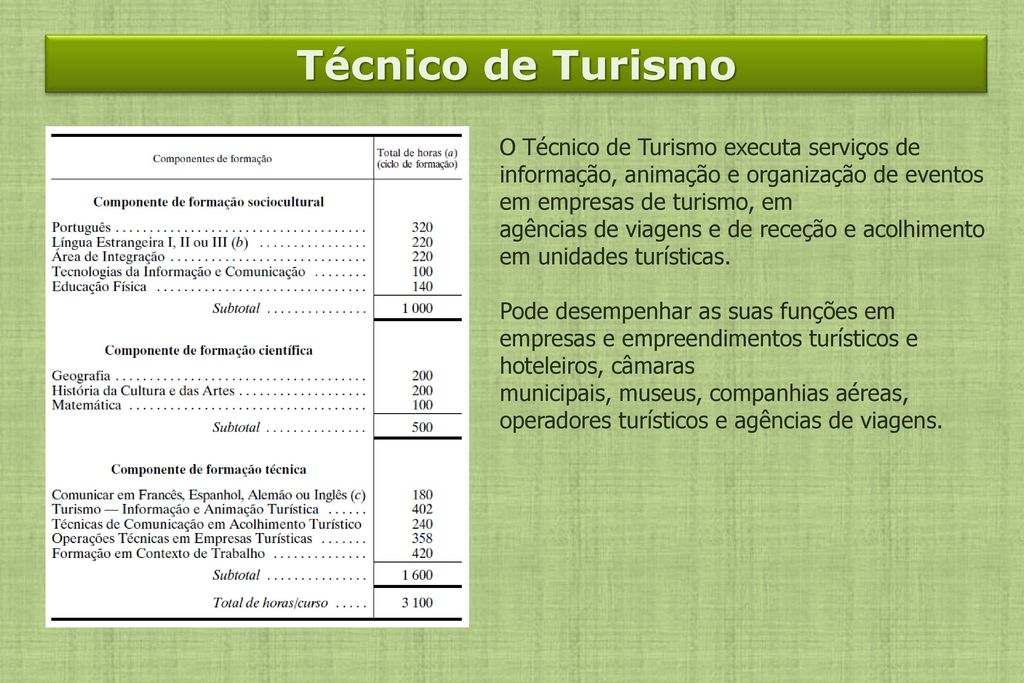 Técnico de Turismo O Técnico de Turismo executa serviços de informação, animação e organização de eventos em empresas de turismo, em.