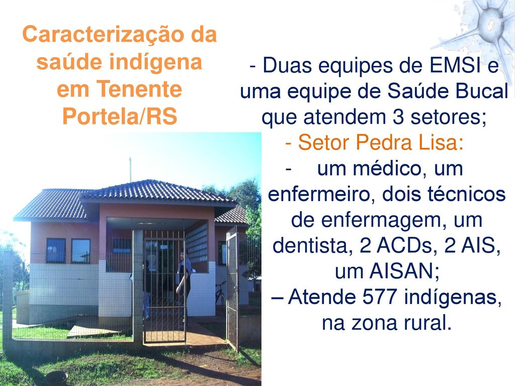 Caracterização da saúde indígena em Tenente Portela/RS