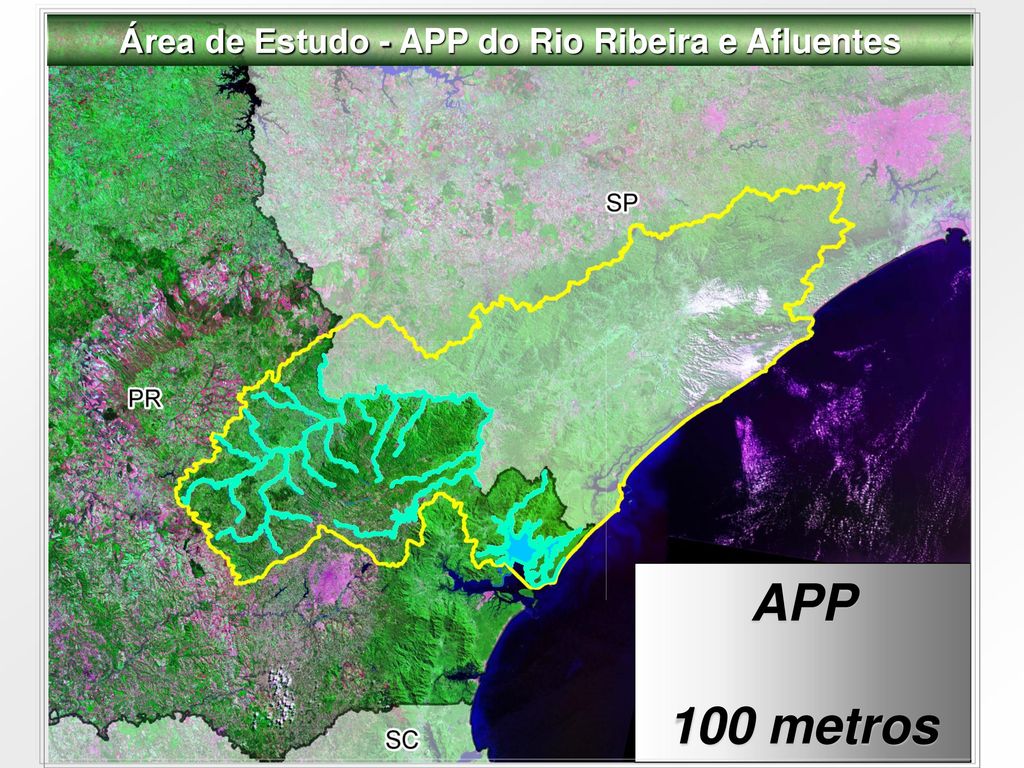Área de Estudo - APP do Rio Ribeira e Afluentes