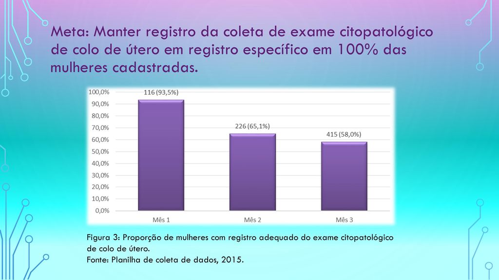 Meta: Manter registro da coleta de exame citopatológico de colo de útero em registro específico em 100% das mulheres cadastradas.