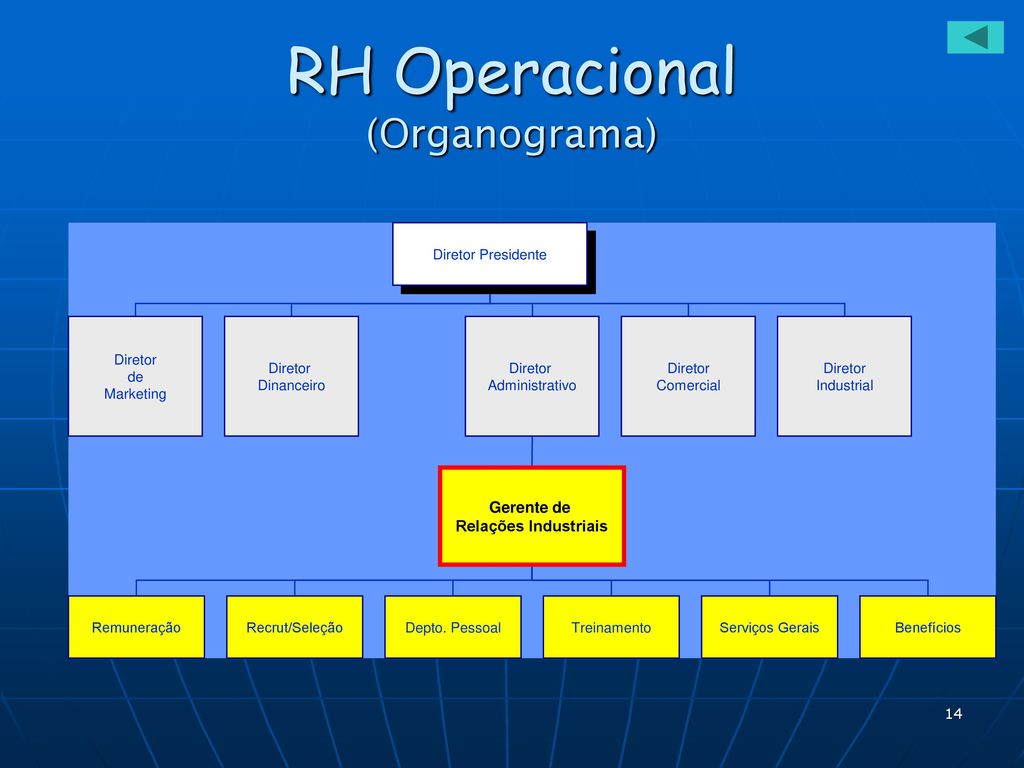 RH Operacional (Organograma)