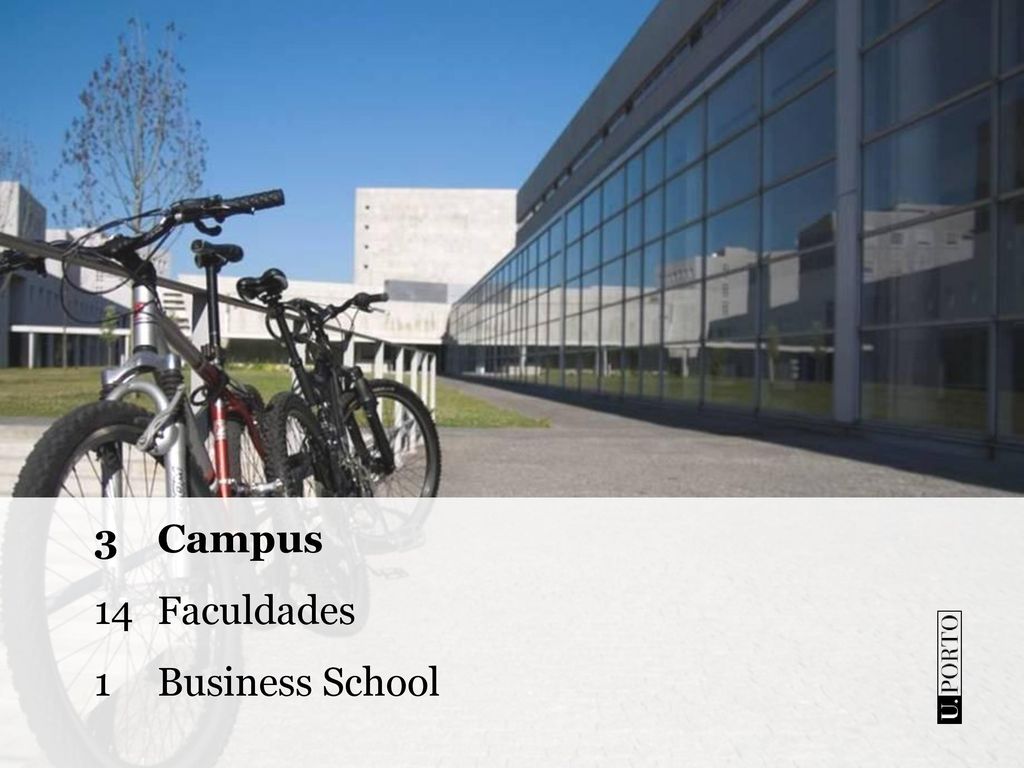 3 Campus 14 Faculdades 1 Business School