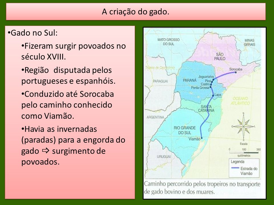 A criação do gado. Gado no Sul: Fizeram surgir povoados no século XVIII. Região disputada pelos portugueses e espanhóis.