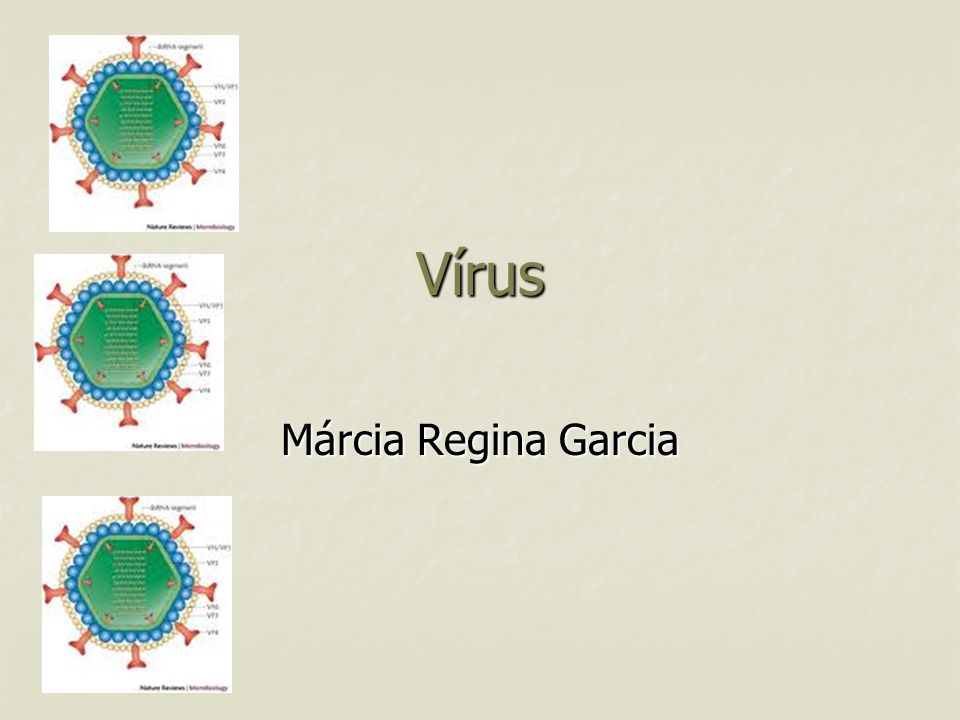 Vírus Márcia Regina Garcia