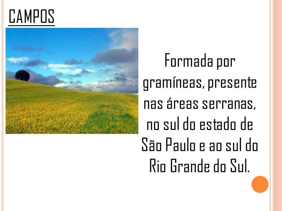 CAMPOS Formada por gramíneas, presente nas áreas serranas, no sul do estado de São Paulo e ao sul do Rio Grande do Sul.