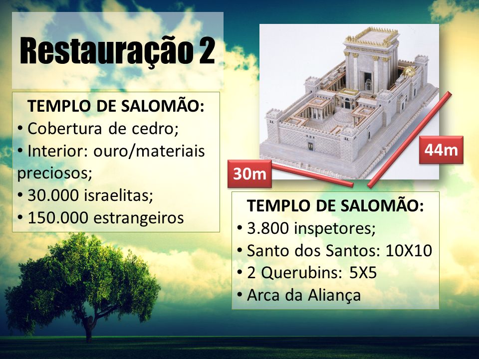 Restauração 2 TEMPLO DE SALOMÃO: Cobertura de cedro;