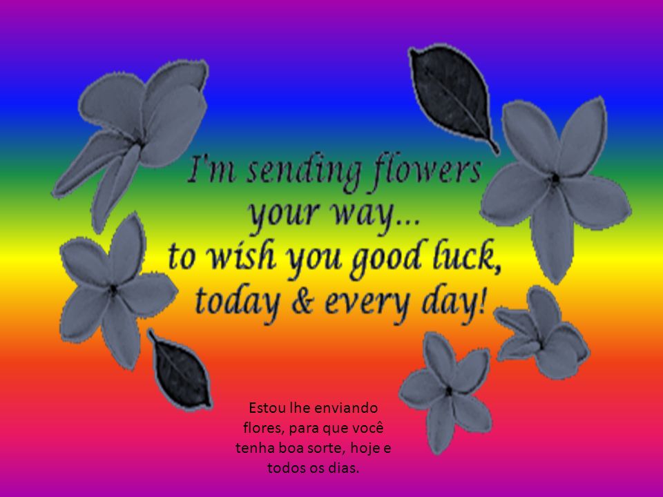 Estou lhe enviando flores, para que você tenha boa sorte, hoje e todos os dias.