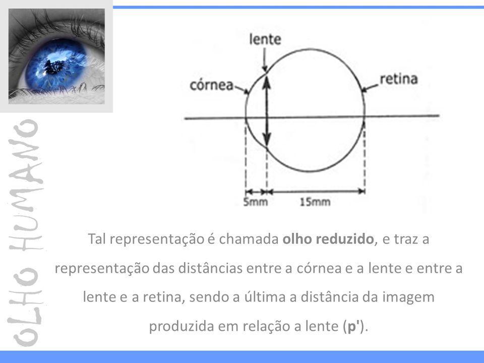 Tal representação é chamada olho reduzido, e traz a representação das distâncias entre a córnea e a lente e entre a lente e a retina, sendo a última a distância da imagem produzida em relação a lente (p ).