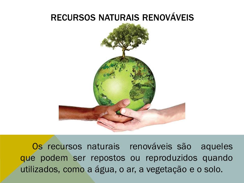 Recursos naturais renováveis