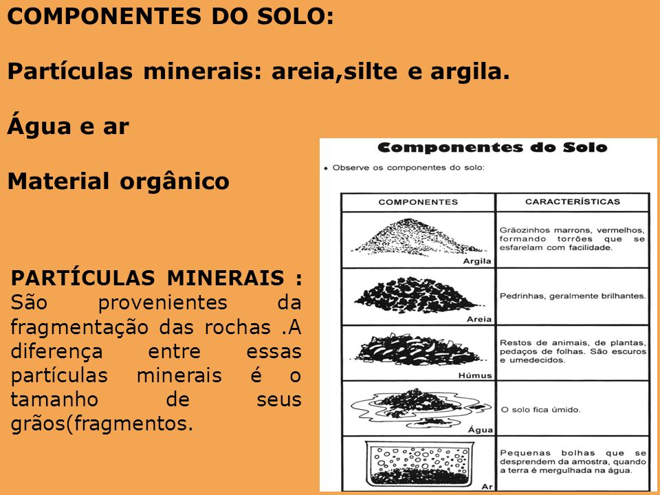 Partículas minerais: areia,silte e argila. Água e ar Material orgânico
