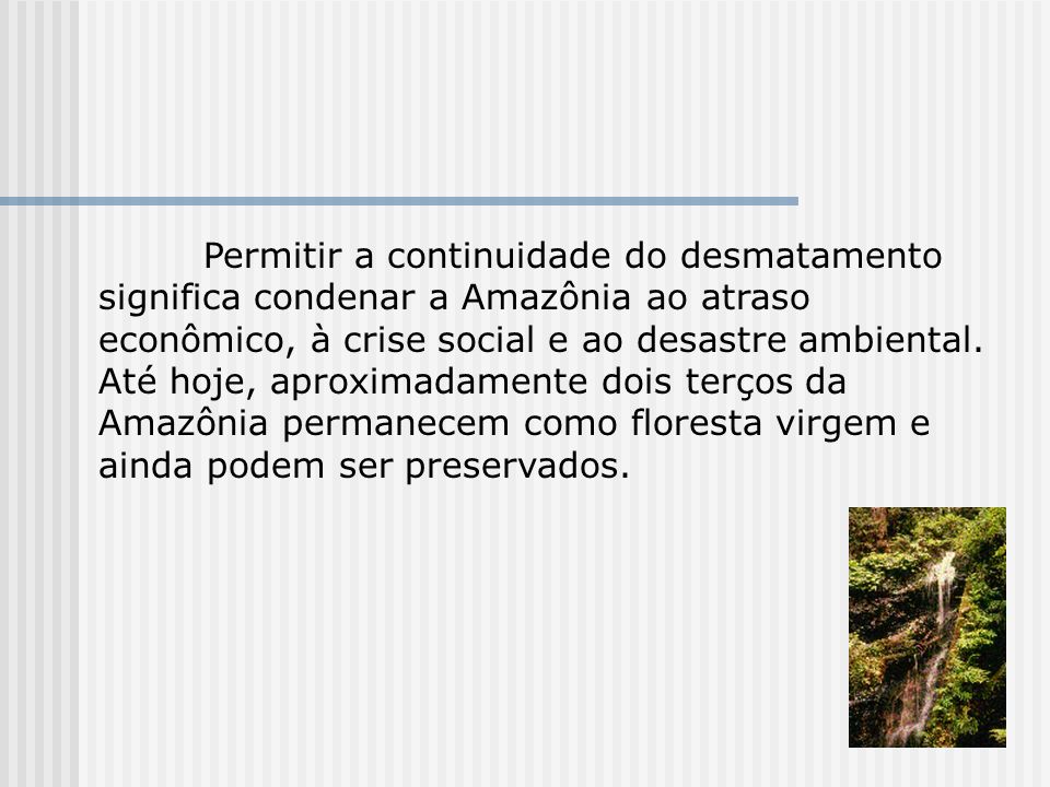 Permitir a continuidade do desmatamento significa condenar a Amazônia ao atraso econômico, à crise social e ao desastre ambiental.