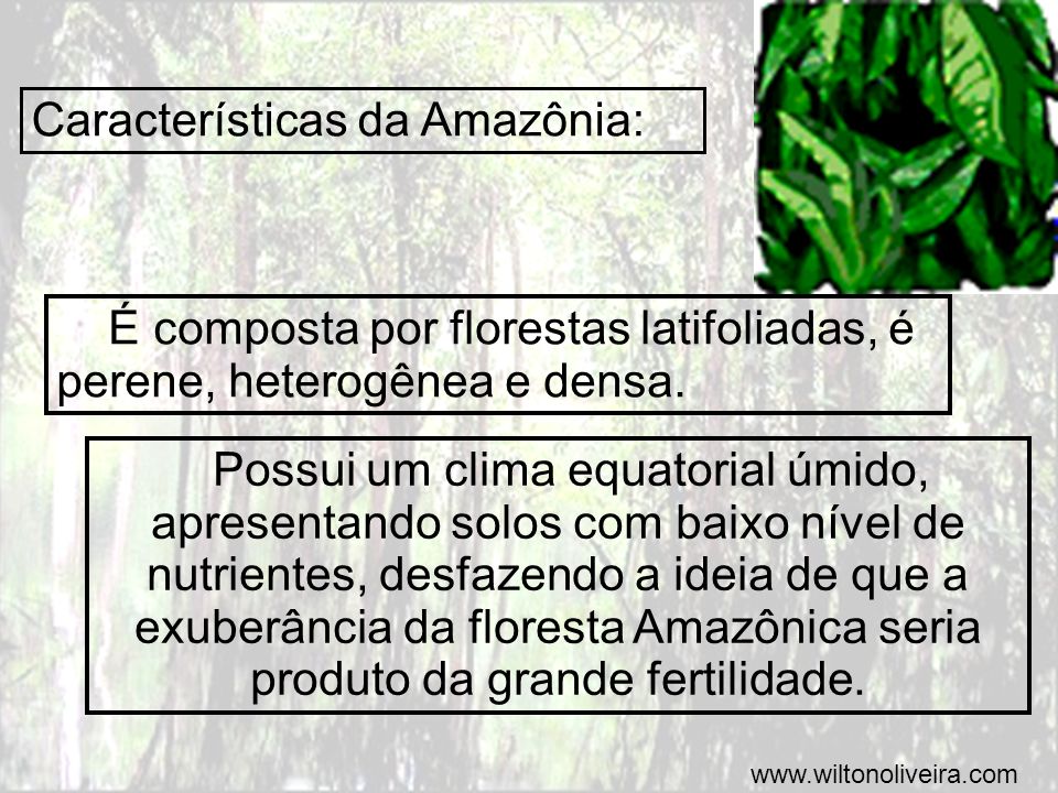 Características da Amazônia: