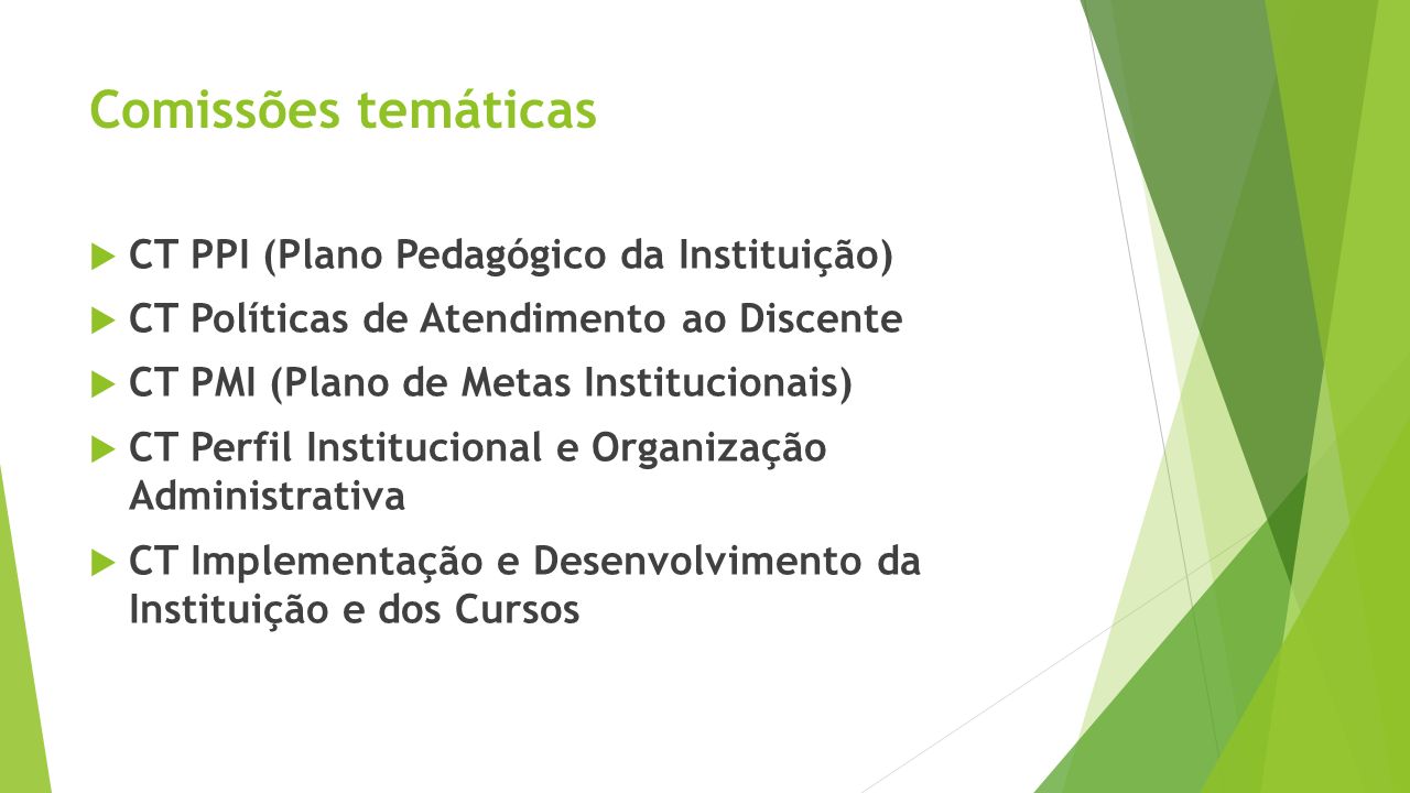 Comissões temáticas CT PPI (Plano Pedagógico da Instituição)