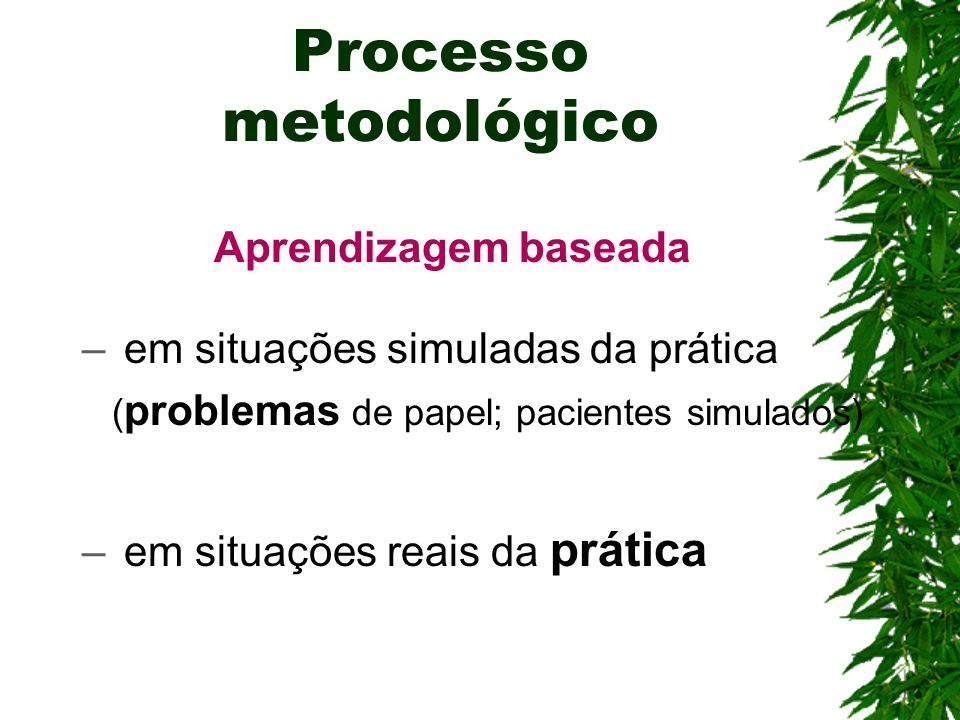 Processo metodológico