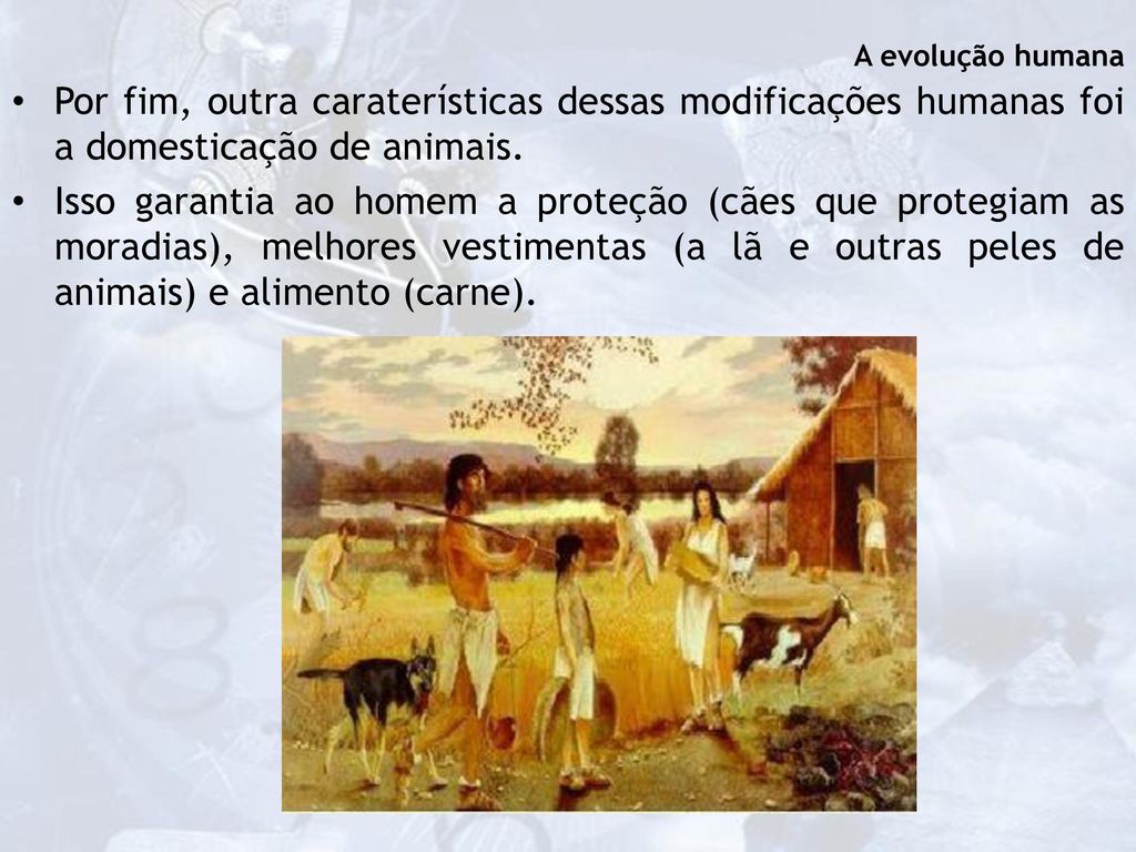 A evolução humana Por fim, outra caraterísticas dessas modificações humanas foi a domesticação de animais.