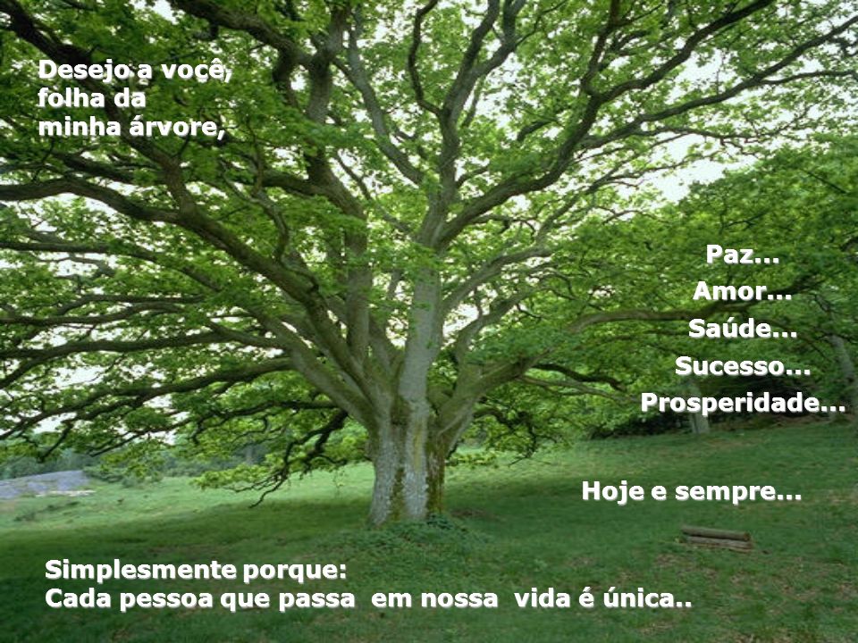 Desejo a você, folha da minha árvore, Paz... Amor... Saúde... Sucesso... Prosperidade... Hoje e sempre...