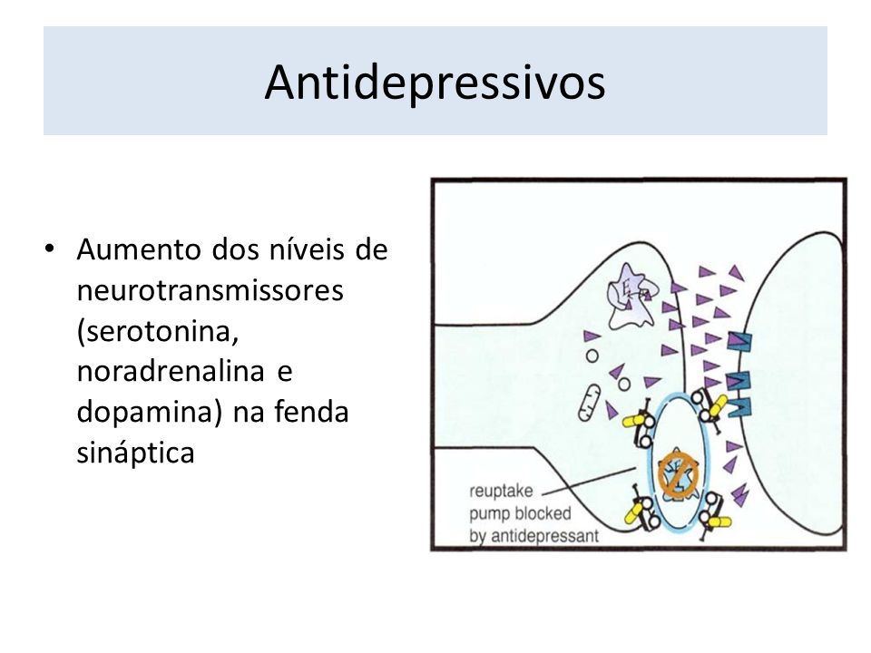 Antidepressivos Aumento dos níveis de neurotransmissores (serotonina, noradrenalina e dopamina) na fenda sináptica.