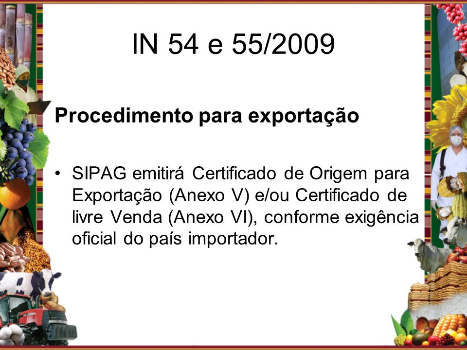 IN 54 e 55/2009 Procedimento para exportação