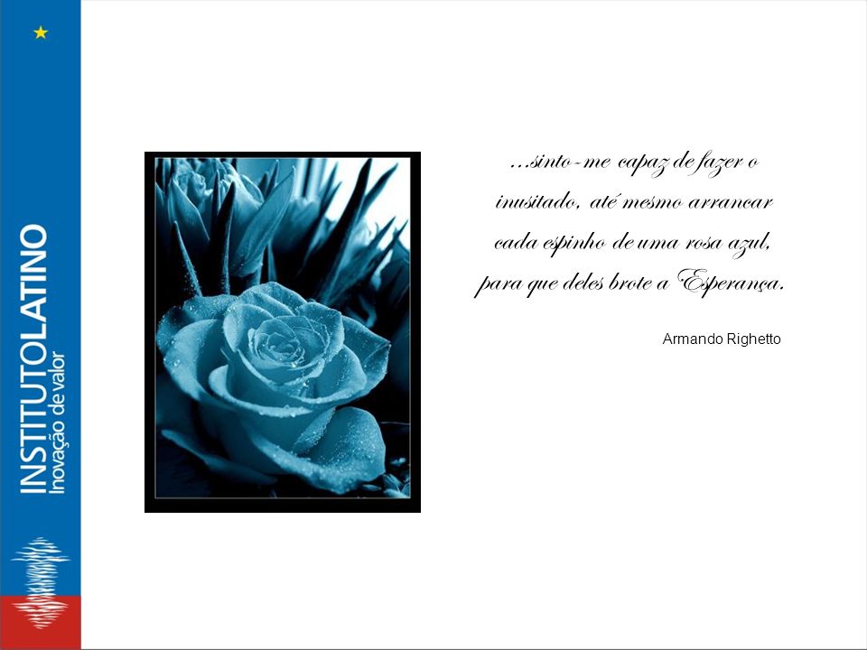 ...sinto-me capaz de fazer o inusitado, até mesmo arrancar cada espinho de uma rosa azul, para que deles brote a Esperança.