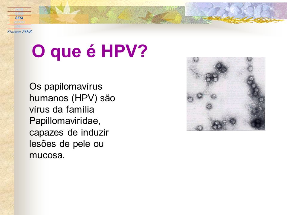 O que é HPV.