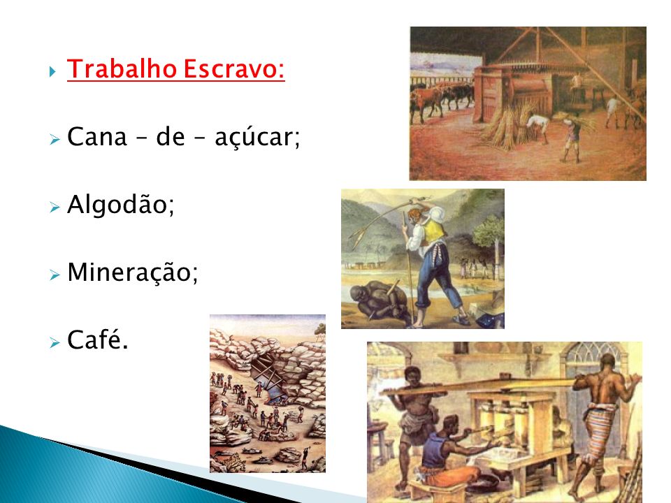 Trabalho Escravo: Cana – de – açúcar; Algodão; Mineração; Café.