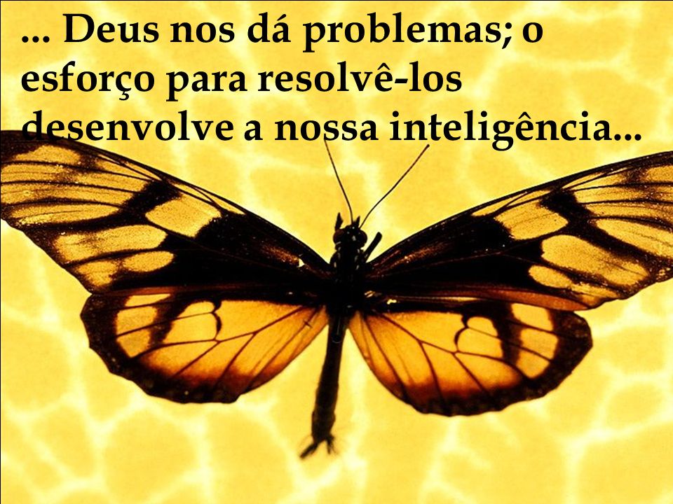 ... Deus nos dá problemas; o esforço para resolvê-los desenvolve a nossa inteligência...