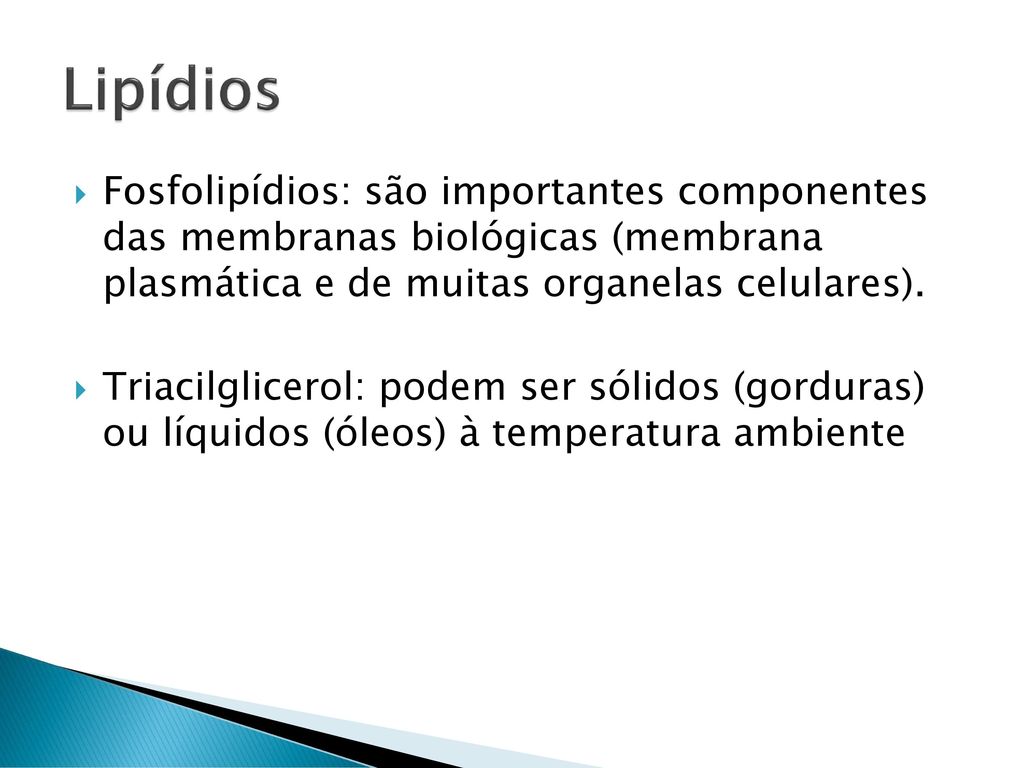 Lipídios Fosfolipídios: são importantes componentes das membranas biológicas (membrana plasmática e de muitas organelas celulares).