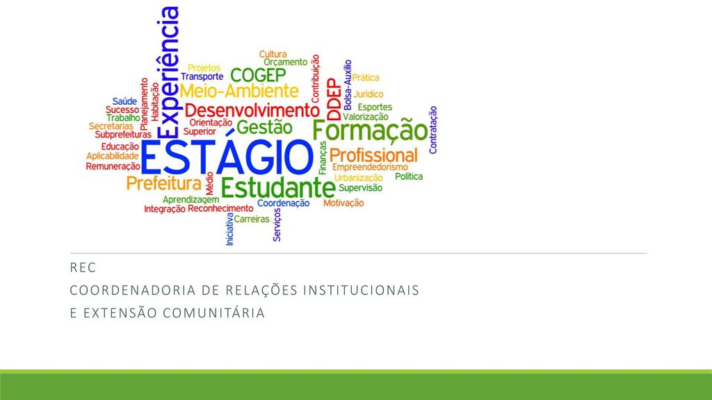 REC Coordenadoria de relações institucionais e extensão comunitária