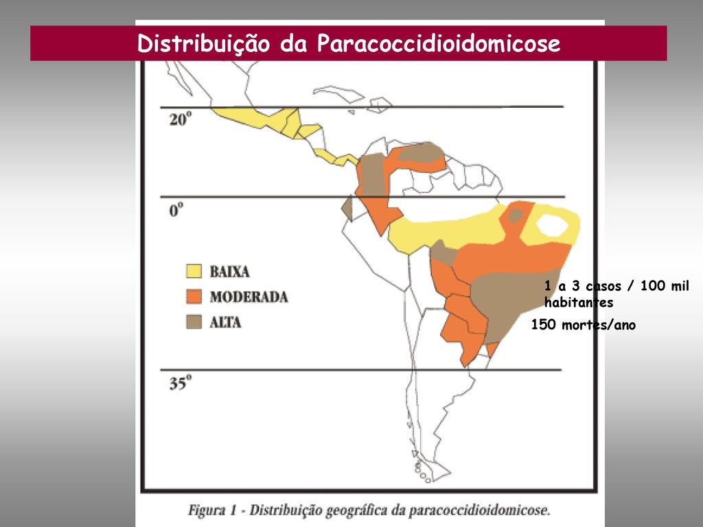 Distribuição da Paracoccidioidomicose