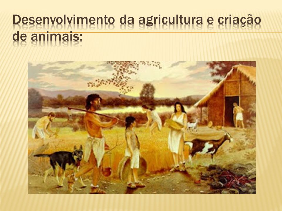 Desenvolvimento da agricultura e criação de animais: