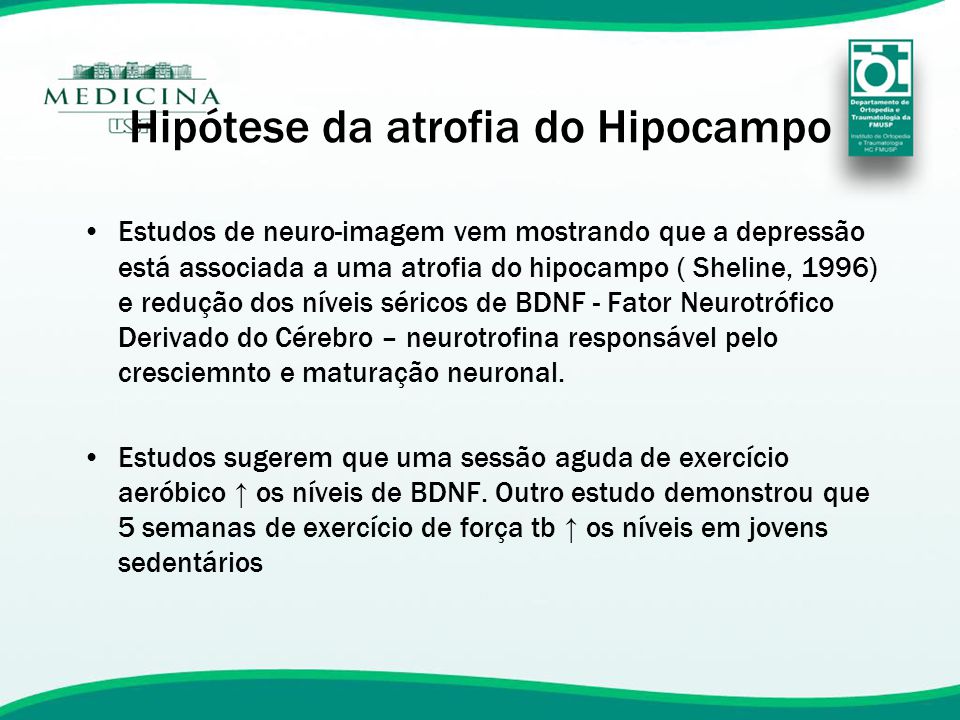 Hipótese da atrofia do Hipocampo