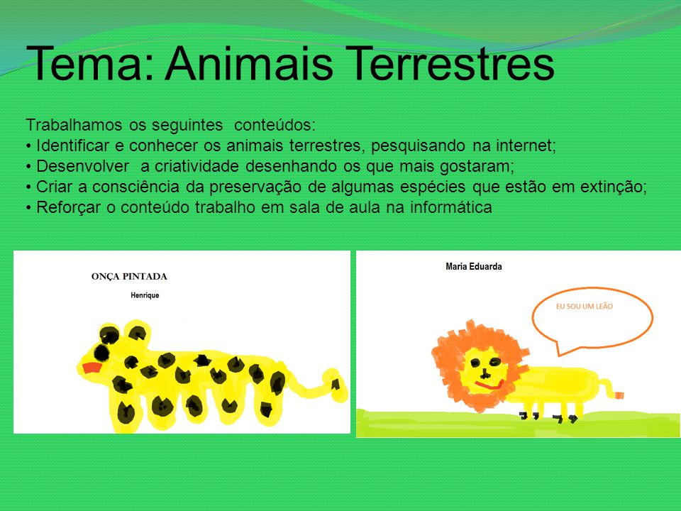Tema: Animais Terrestres