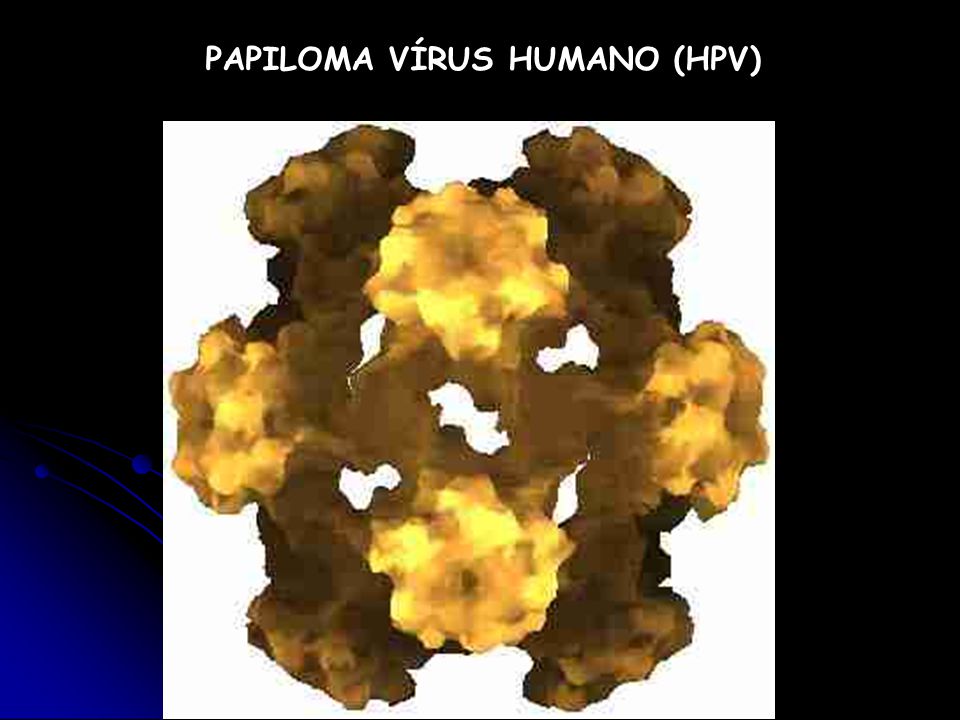 PAPILOMA VÍRUS HUMANO (HPV)